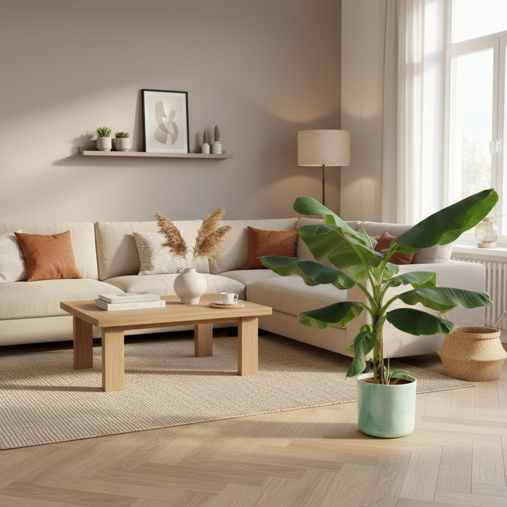 Kombi-Angebot - Bananenpflanze (Musa) inklusive Elho Ocean Round - 100cm