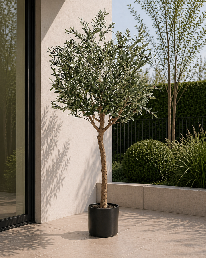 Kunstpflanze - Olea europaea - Olivenbaum - 180 cm