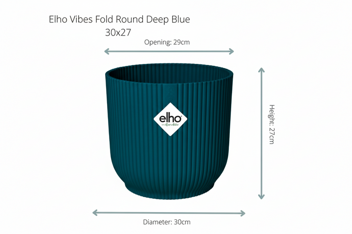 Kombideal - Kentia-Palme inklusive elho Vibes Fold Round - 180 cm