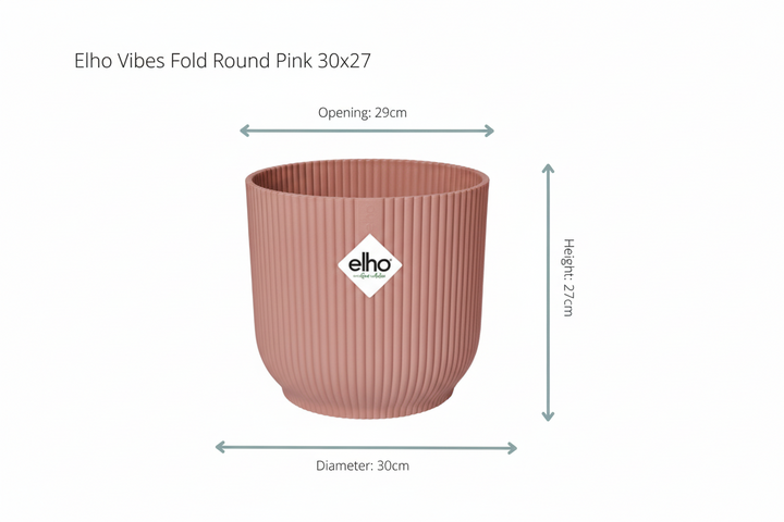 Kombideal - Kentia-Palme inklusive elho Vibes Fold Round - 180 cm
