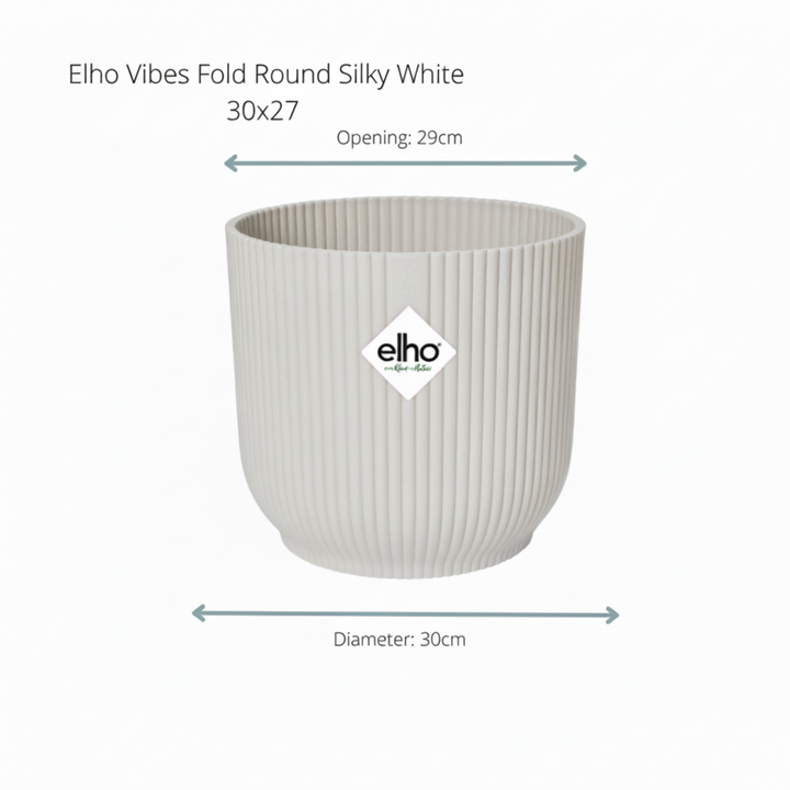 Kombideal - Kentia-Palme inklusive elho Vibes Fold Round - 180 cm