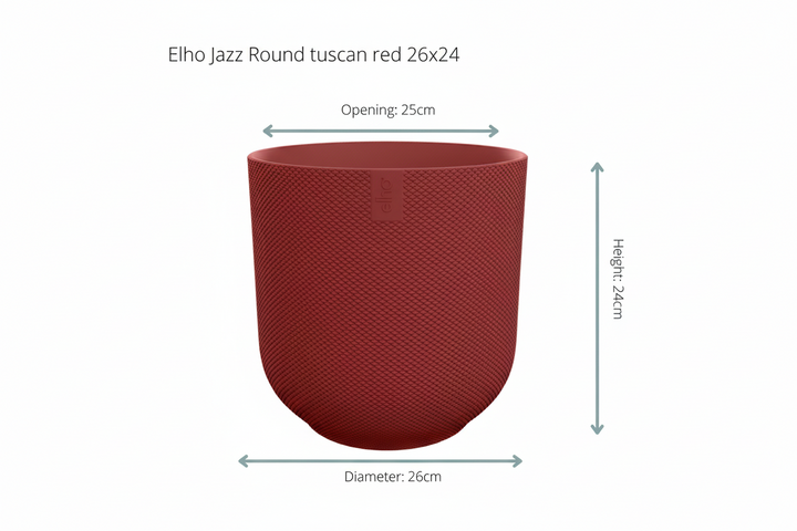 Kombi-Angebot - Kentia Palme inklusive elho Jazz Round - 160cm