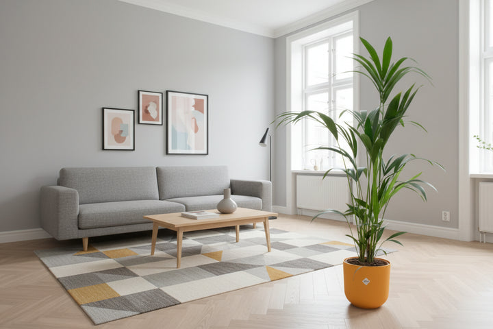 Kombi-Angebot - Kentia Palme inklusive elho Jazz Round - 160cm