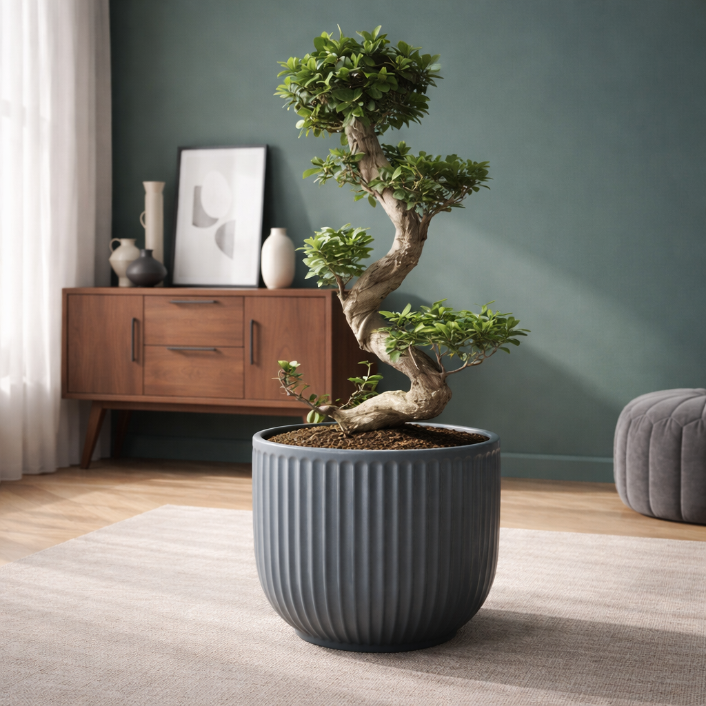 Ficus Ginseng Bonsai S-Form | 80 cm | Zimmerpflanze
