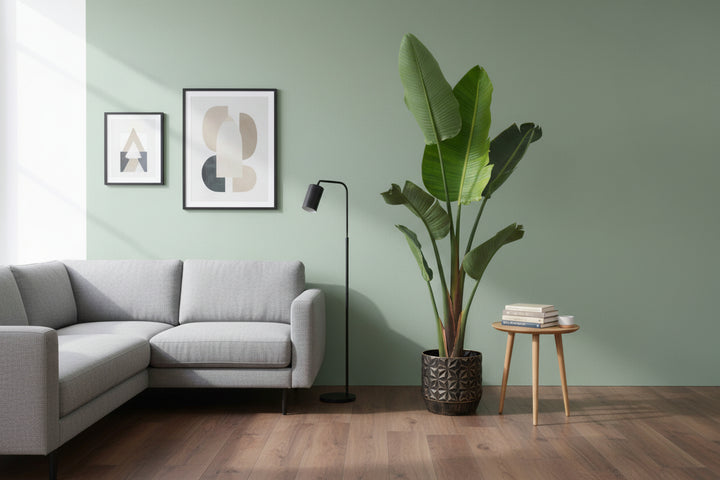 Strelitzia Augusta - Ø30 - 210cm - Paradiesvogelpflanze