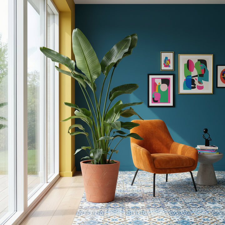 Strelitzia Nicolai - Ø27 - 200cm - Paradiesvogelblume