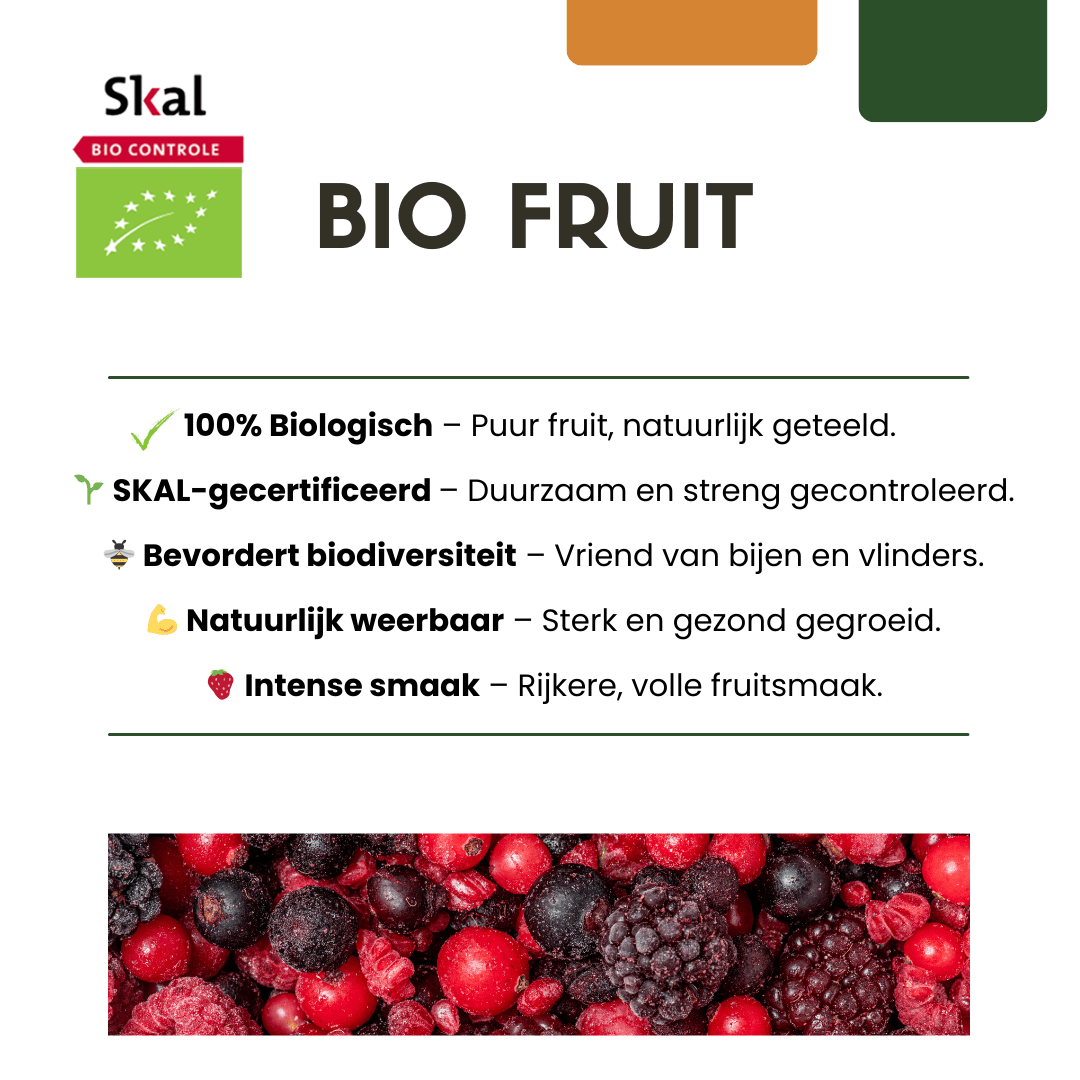 Bio-Stachelbeerpflanzen - 20 cm - Zimmerpflanze kaufen