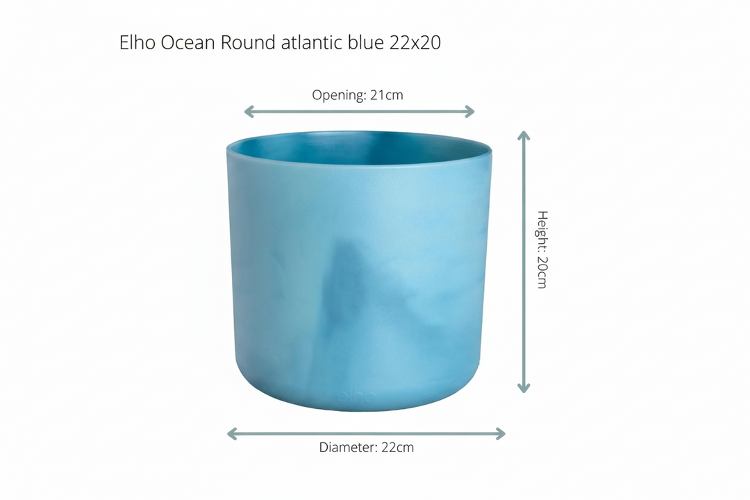Kombi-Angebot - Bananenpflanze (Musa) inklusive Elho Ocean Round - 100cm