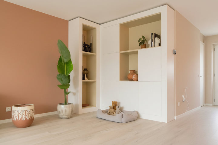 Strelitzia Augusta - Ø30 - 180cm - Paradiesvogelblume