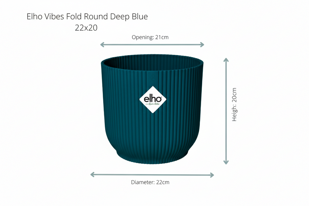 Kombi-Deal - Bananenstaude (Musa) Fold Round - 100 cm