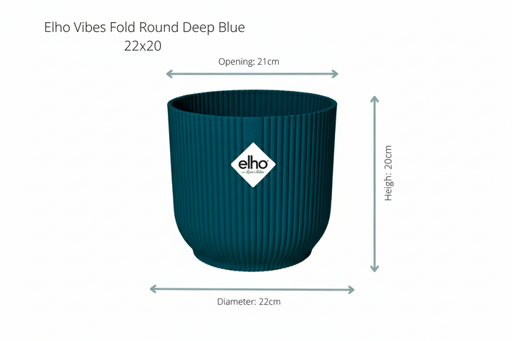 Kombi-Deal - Bananenstaude (Musa) Fold Round - 100 cm