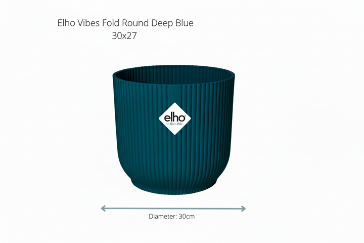 Kombiangebot - Kentia-Palme inklusive elho Vibes Fold Round - 160 cm