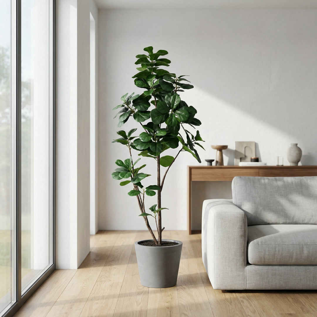 Kunst-Ficus lyrata verzweigt - 150cm - Geigenfeige