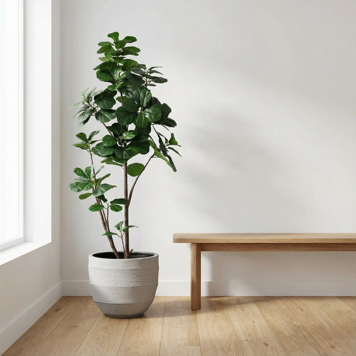 Kunst-Ficus lyrata verzweigt - 150cm - Geigenfeige