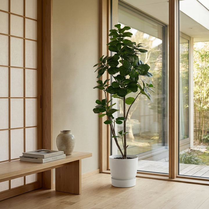 Kunst-Ficus lyrata verzweigt - 150cm - Geigenfeige