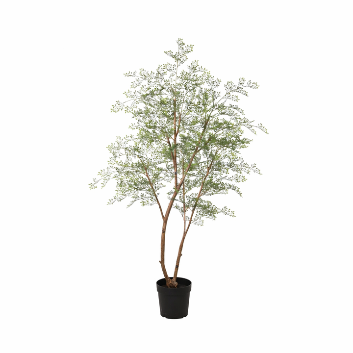 Kassia Baum - 180cm - Kunstpflanze - Künstliche Pflanze für Innenräume