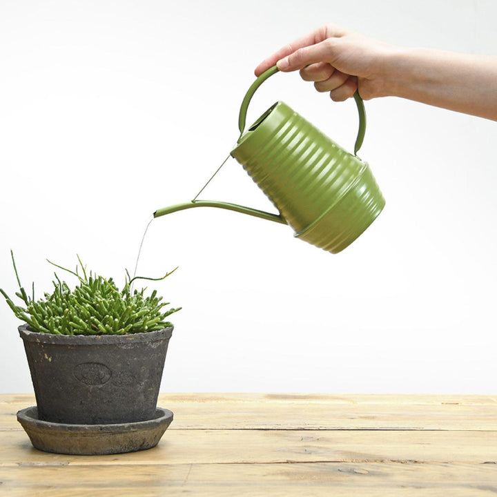 Blumengießer - Zink - 1 Liter - Grün - Pflanzenpflege