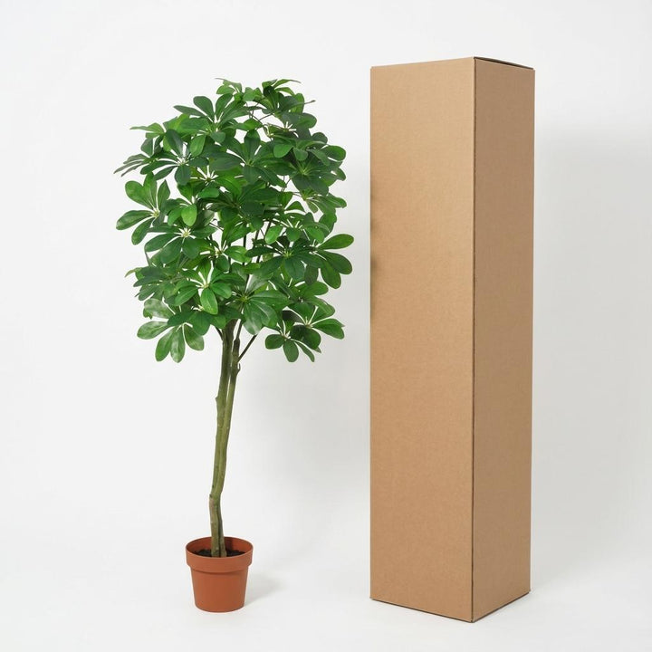 Pachira Aquatica - 150cm - Kunstpflanze - Geldbaum - Fake Pflanze Interieur