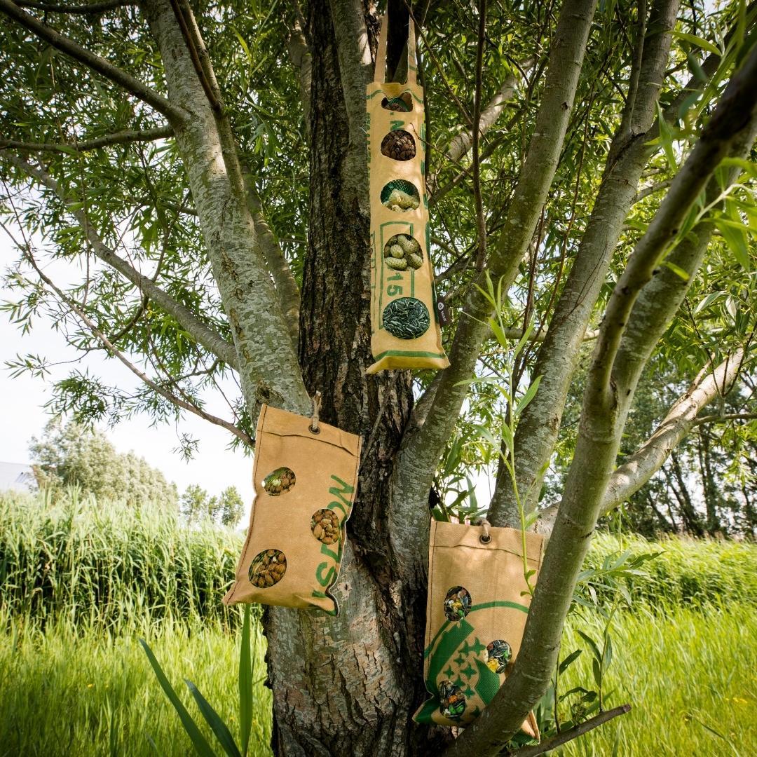 Bird Buffet | Vogelfutter ECO Beutel Mix Set mit 4 | 4x 300g