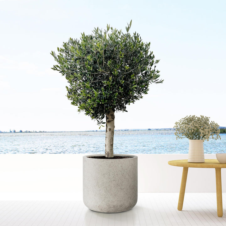 Großer Blumentopf Outdoor Jumbo Charlie Beige Washed – Ø62 x H60cm