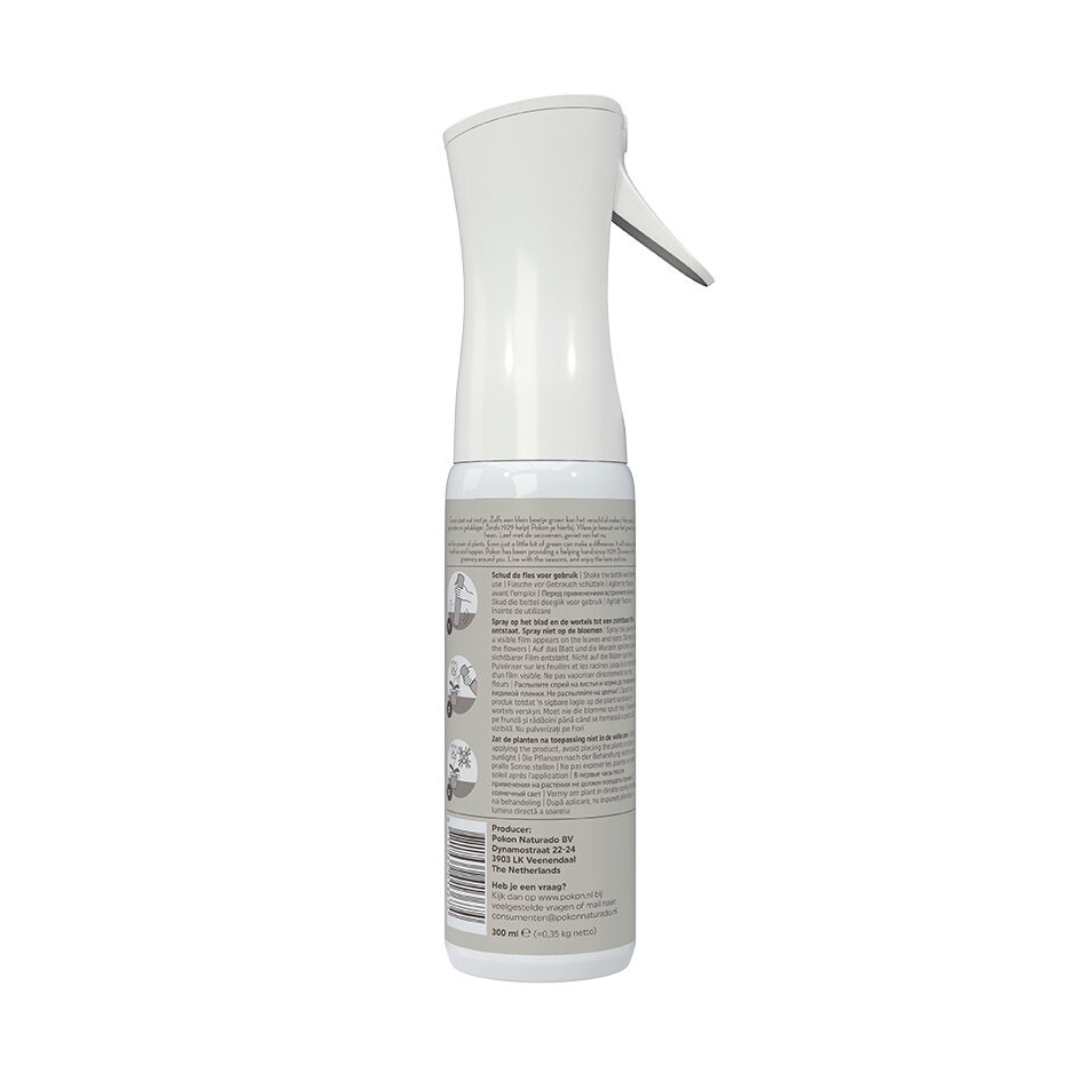 Pokon Powerspray Orchidee 300 ml - Phalaenopsis Orchidee