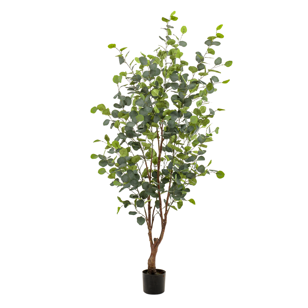Kunstpflanze - Eukalyptus - Blauer Gummibaum - 140 cm | Premium
