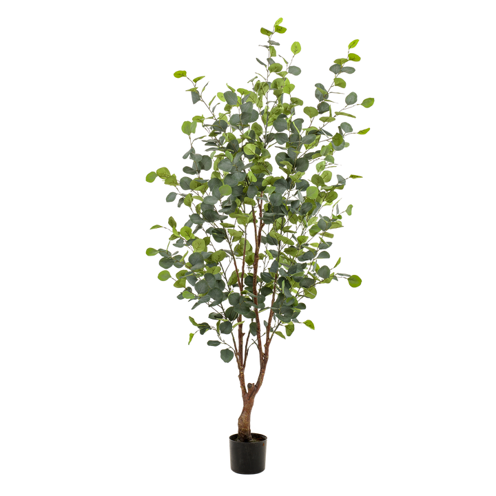 Kunstpflanze - Eukalyptus - Blauer Gummibaum - 140 cm | Premium