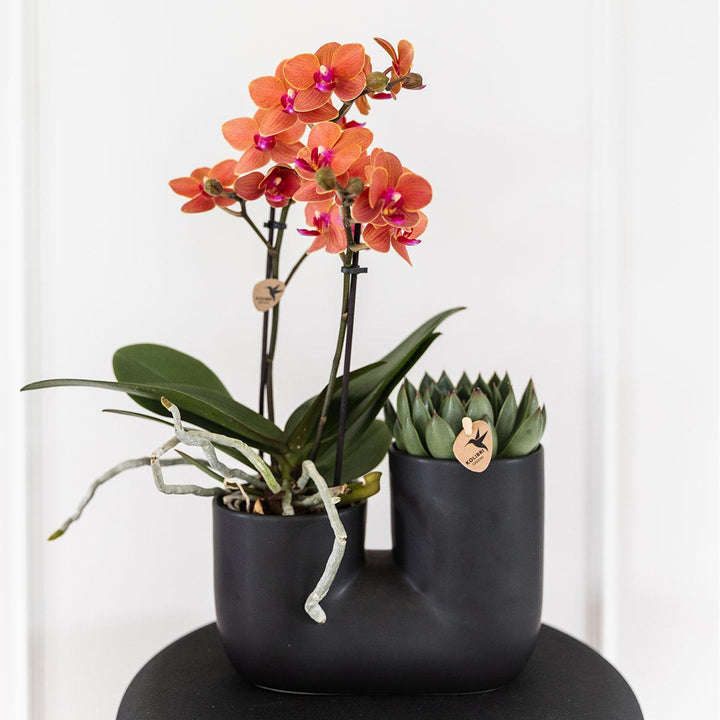 Tube Ziertopf - Schwarz - Blumentopf Zimmerpflanze - Pflanzentopf