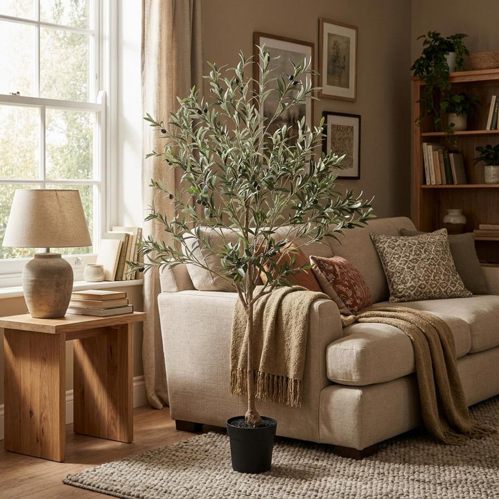 Olivenbaum - 170cm - Outdoor & Indoor