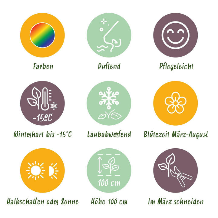 Staudenbeet - Duftend