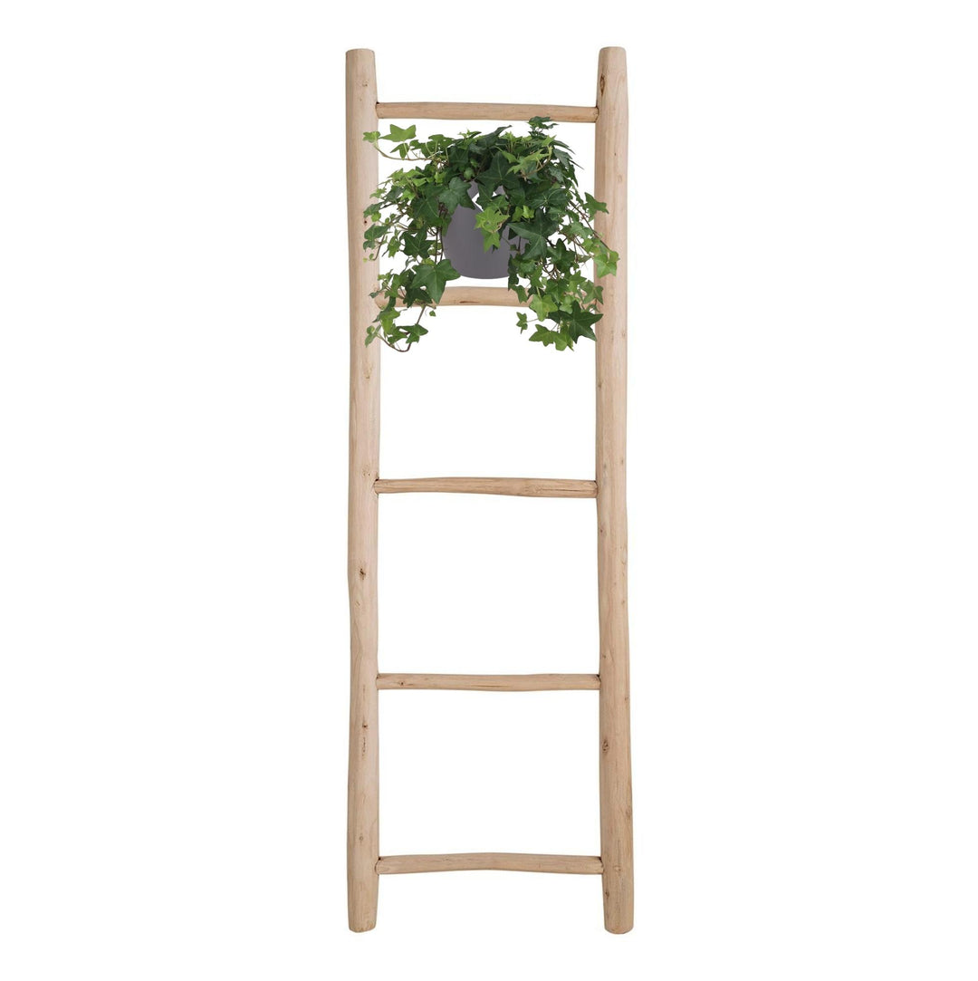 Efeu Grün - Hängetopf Weiß / Basic - Ø17cm - 50cm