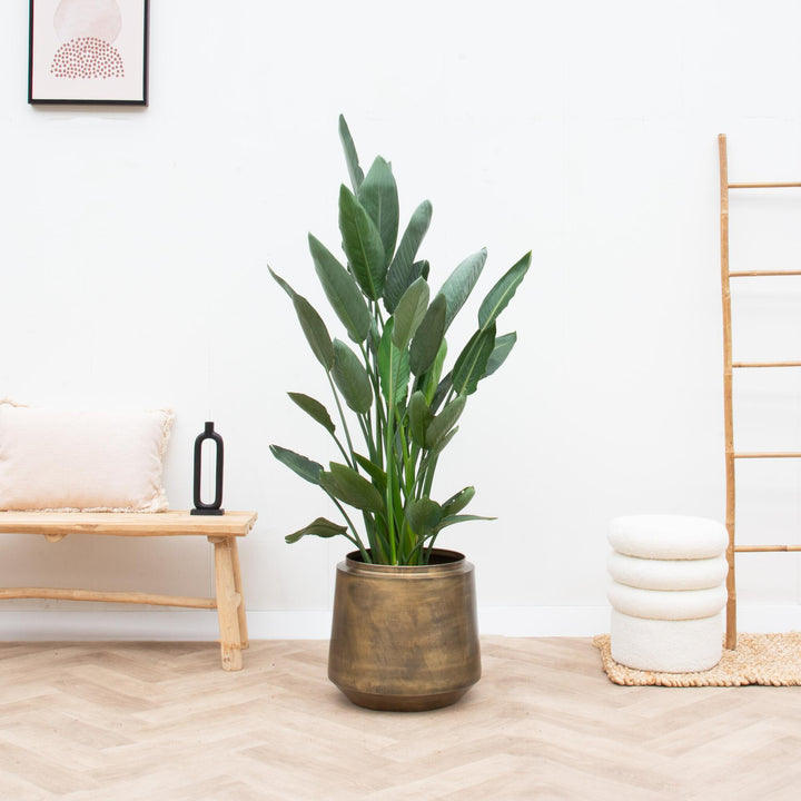 Dekorativer Blumentopf Indigo Vintage Gold – Ø46 x H41cm | Zimmerpflanze