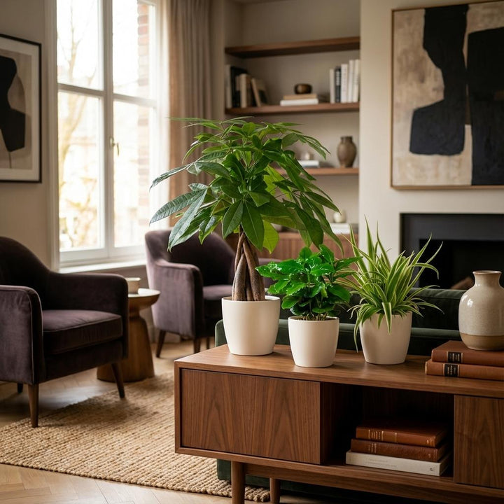 Tierfreundliche Pflanzenbox - klein - mit Übertopf - Ø12