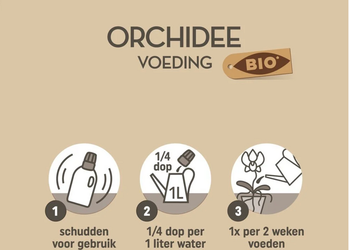 Pokon Bio Orchideendünger 250 ml - Pflanzenpflege