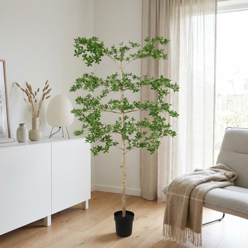 Bucida – 200 cm – Kunstpflanze – Unechte Pflanze Interieur | Kaufen