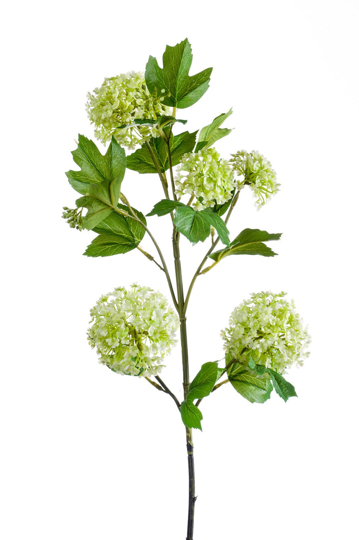 Kunstblumen Viburnum Zweig Creme – 75cm | Blüten-Set 4 Stück