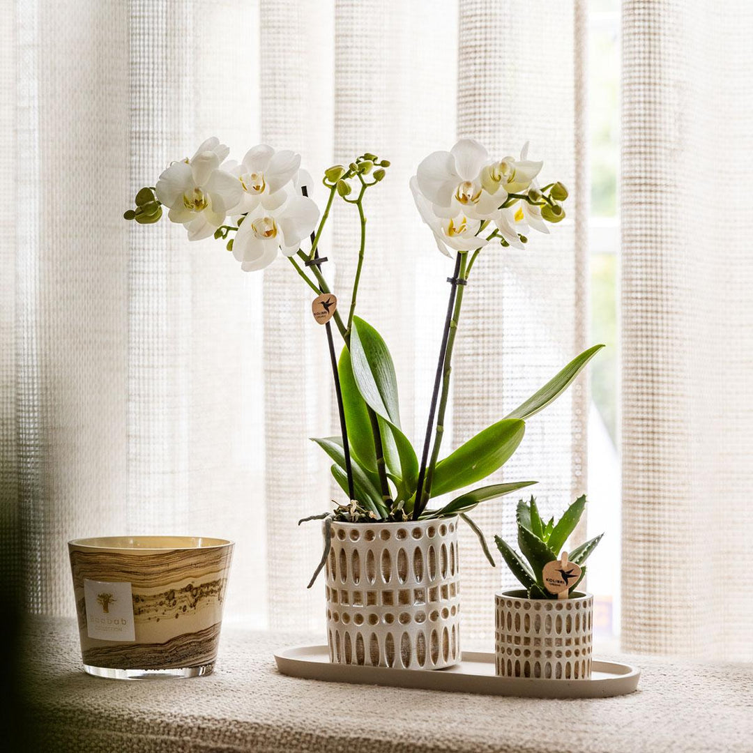 Mosaik-Ziertopf - Ø9cm - Blumentopf