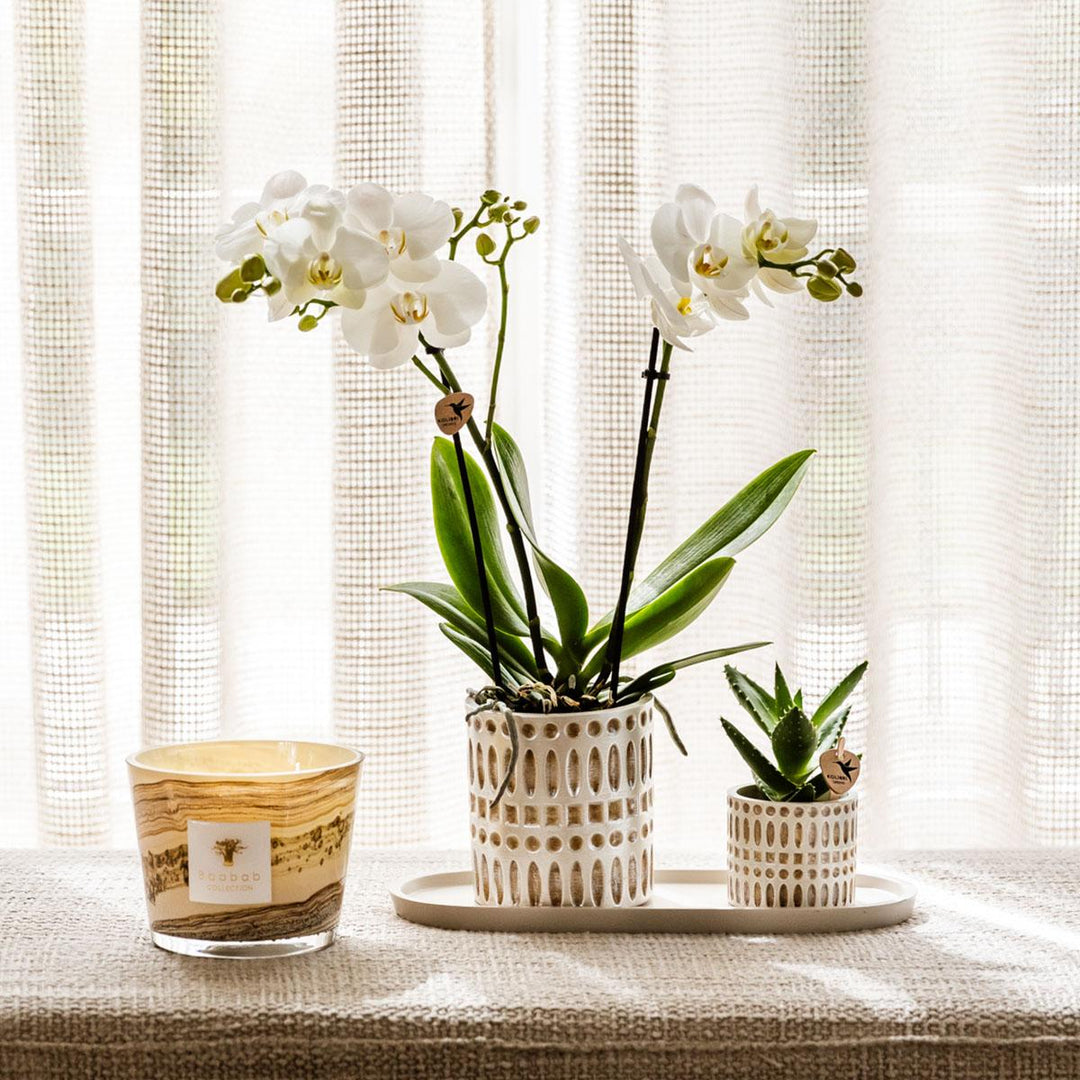 Mosaik-Ziertopf - Ø9cm - Blumentopf