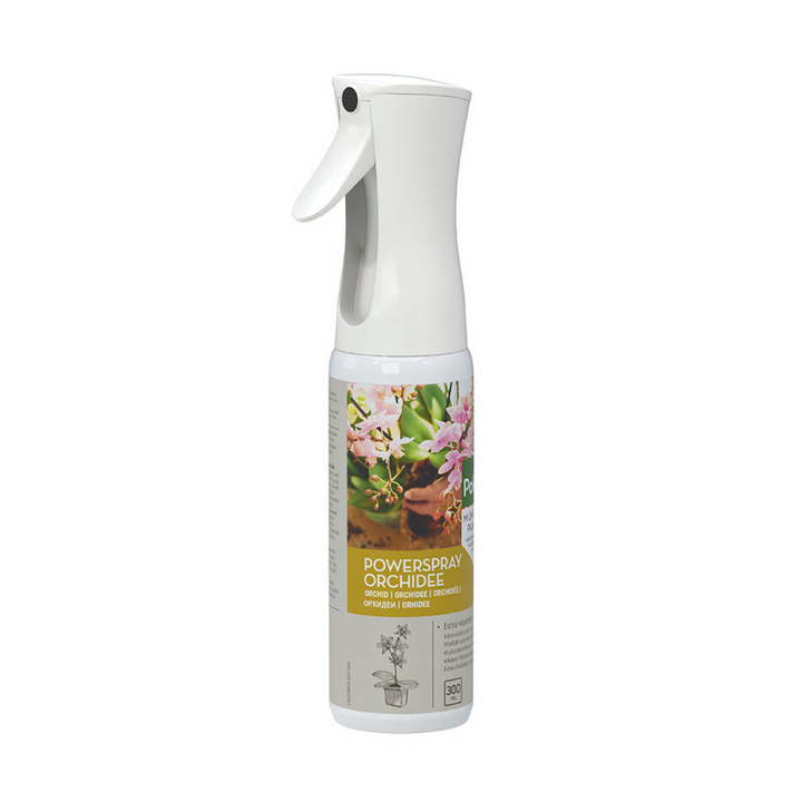Pokon Powerspray Orchidee 300 ml - Phalaenopsis Orchidee