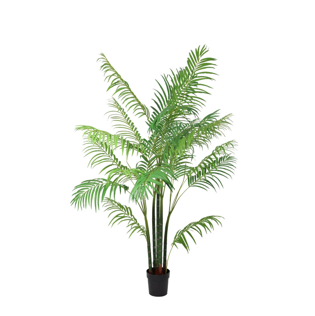 Areca - 190cm - Kunstpflanze - Goldfruchtpalme - Zimmerpflanze Kaufen
