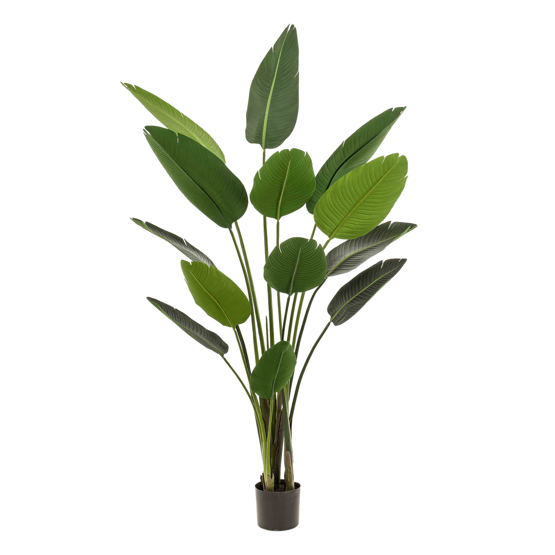 Kunstpflanze - Strelitzia Nicolai - Paradiesvogelblume - 190 cm