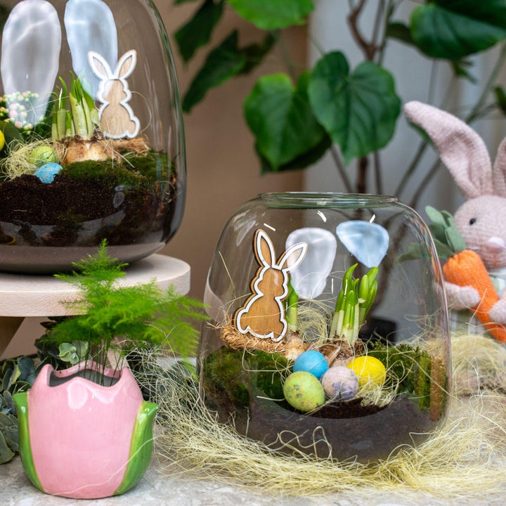 Emma Pasen - Offenes Terrarium - Flaschengarten DIY Kit - Ø 23 cm 25 cm