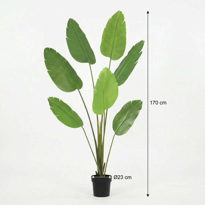 Strelitzia Nicolai – 170cm – Kunstpflanze – Paradiesvogelblume