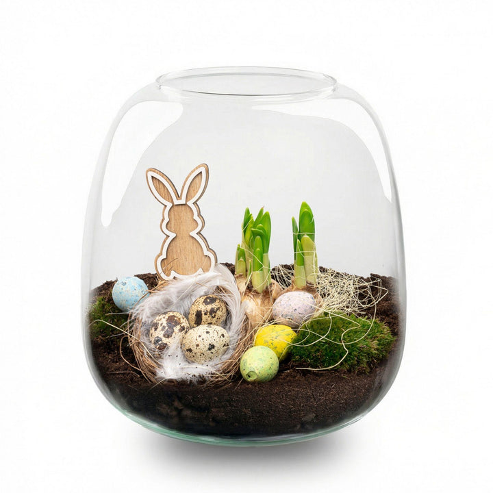 Emma Pasen - Offenes Terrarium - Flaschengarten DIY Kit - Ø 23 cm 25 cm