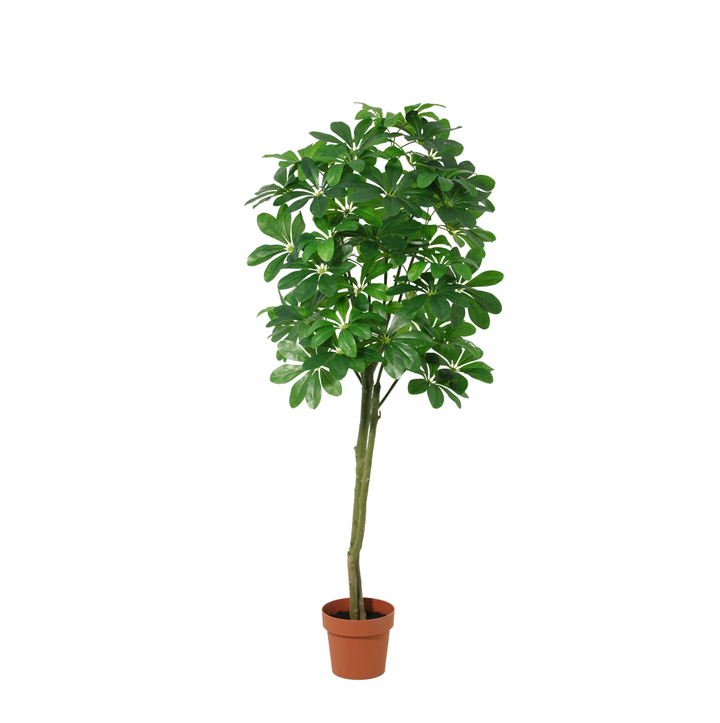 Pachira Aquatica - 150cm - Kunstpflanze - Geldbaum - Fake Pflanze Interieur