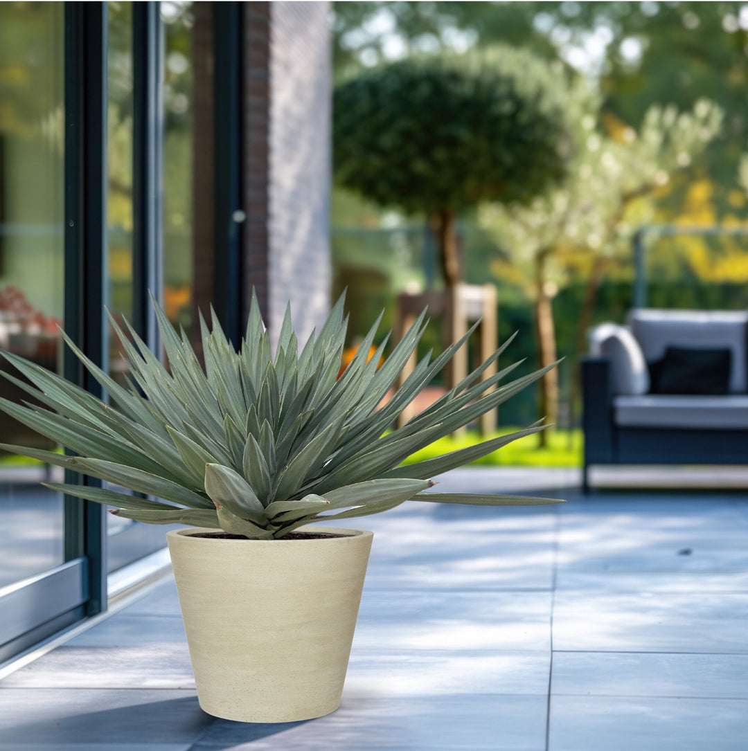 Yucca Gloriosa 'Lone Star' - 140 cm - Palmlilie Zimmerpflanze